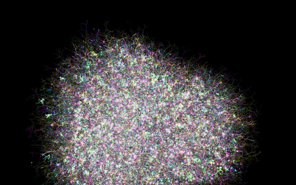 A bloom of thousands of neurons with branching dendrites in pink, green and gold.
