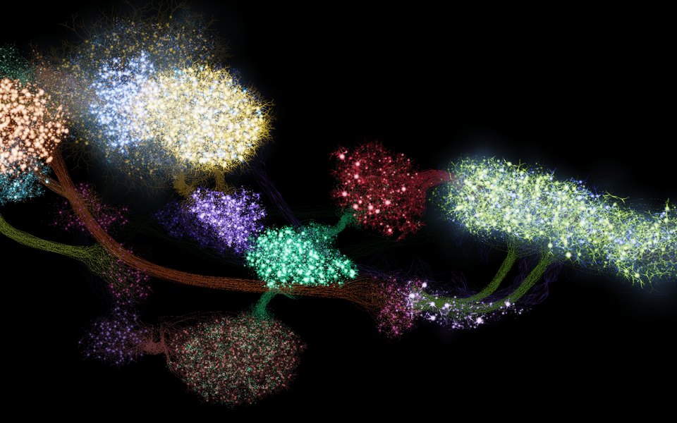 The Tadpole seen from the side, its groups of neurons coloured by type.